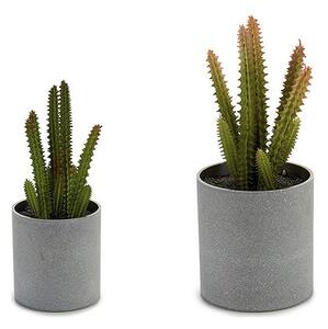 Ibergarden Ghiveci mic cactus (7,5 x 19 x 7,5 cm)