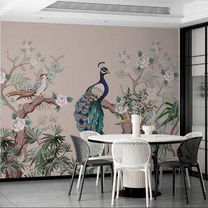 Tapet păun pe un copac, fundal deschis, Fototapet Animale, Fototapet Peacocks, w08168v2 : Uwalls.ro