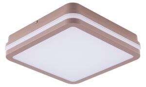Brilagi-LED Lampă de exterior cu senzor BENE LED/18W/230V 21,5x21,5 cm maro IP54