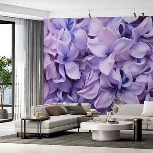 Tapet Flori de hiacint, de culoare albastru purpuriu, Fototapet Flori, w01556 : Uwalls.ro