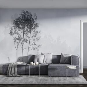 Tapet Pădure cețoasă, peisaje naturale, pajiște, copaci, culoare gri, Fototapet Natură, w01547v1 : Uwalls.ro
