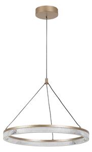 Rabalux 72471 - Lustră LED dimabilă pe cablu RIVONA LED/24W/230V 3000-6500K+telecomandă