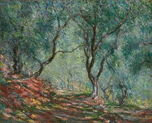 Monet, Claude - Artă imprimată Olive Trees in the Moreno Garden, 1884, (40 x 35 cm)