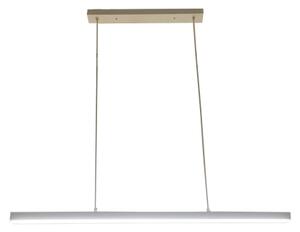 Brilagi - Lustru LED suspendat pe cablu PAXIS LED/30W/230V 120 cm alb
