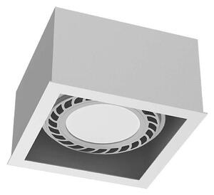 Brosline 1272 - Spot CAGE 1xGU10/18W/230V alb