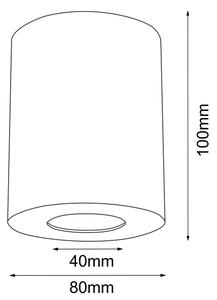Brosline 1257 - Spot POINT 1xGU10/10W/230V IP44 alb
