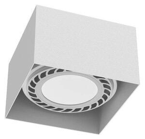 Brosline 1268 - Spot CAGE 1xGU10/18W/230V alb