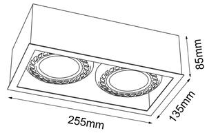 Brosline 1274 - Spot CAGE 2xGU10/18W/230V alb