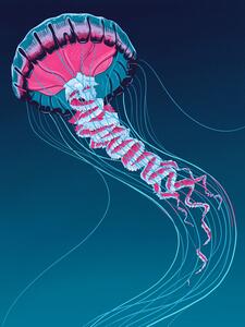 Ilustrație Lions Mane Jellyfish, Mark Harrison