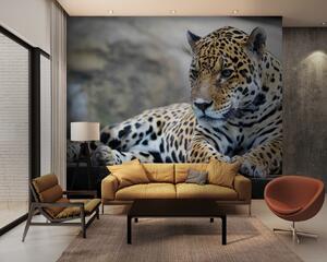 Fototapet Leopard întins pe o suprafață de lemn, Fototapet pisici, Fototapet populare, u55313 - Tapeko.ro