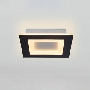 Searchlight Plafonieră LED Squary, lungime 25 cm, fier negru/alb, CCT, reglabil, Negru, Camera de zi / sufragerie, Metal, Modern
