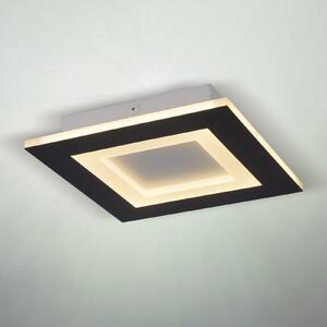 Searchlight Plafonieră LED Squary, lungime 39 cm, fier negru/alb, CCT, reglabil, Negru, Camera de zi / sufragerie, Metal, Modern