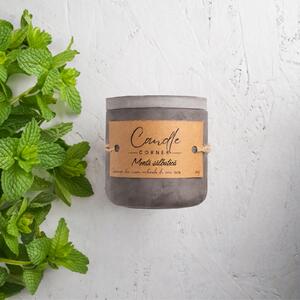 Lumanare parfumata handmade din ceara naturala de soia 100%, aroma de Menta salbatica, Recipient ceramic, 150 g