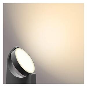 Lampă LED de exterior MIMOSA LED/7W/230V 2700K IP44 Philips
