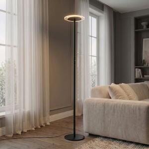 Arcchio Lampadar LED Frile, negru, înălțime 190 cm, dimabil, reglabil, Negru, Camera de zi / sufragerie, Aluminiu, Modern