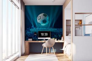 Fototapet Mingea de fotbal deasupra unui stadion, Fototapet copii, Fototapet populare, u72793 - Tapeko.ro
