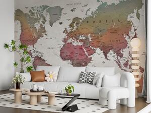 Tapet Brown, world e ecoregion, Fototapet Harta lumii, u64316 : Uwalls.ro