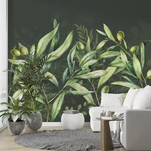 Tapet Măsline ilustrare, design floral, tropical, acuarelă, frunze mari, fundal întunecat, Fototapet Natură, Fototapet Frunze, w00407v4 : Uwalls.ro