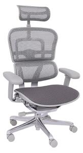 Scaun de birou Ergohuman 2 Elite GT Grey