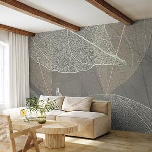 Tapet close-up de frunze cu vene în tonuri de gri cald, Fototapet Natură, Fototapet Frunze, w02520v2 : Uwalls.ro