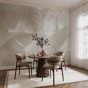 Tapet Frunze mari și delicate, Fototapet Natură, Fototapet Foi de palmier, w08565 : Uwalls.ro