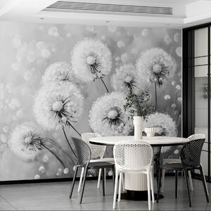 Tapet Aer păpădii pe un fundal monocrom, Fototapet Natură, w08594v1 : Uwalls.ro