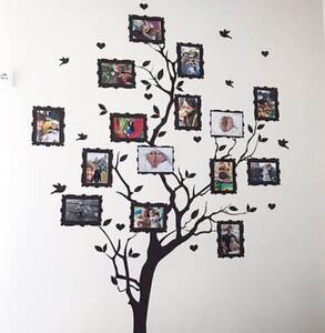 Un copac cu fotografii