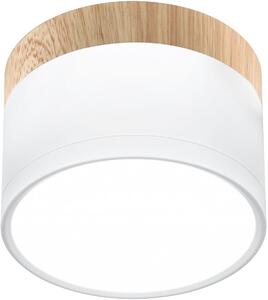 Candellux Tuba lampă de tavan 1x9 W alb 2273648
