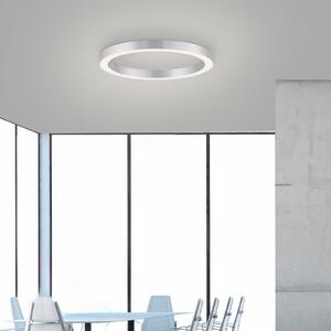 PURE Plafonieră LED Lines, Ø 50 cm, culoare argintiu, CCT, reglabil, Gri, Camera de zi / sufragerie, Metal, Modern