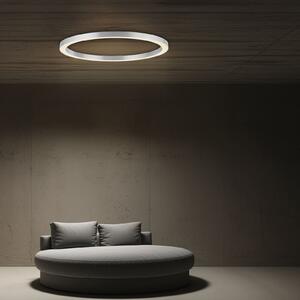 PURE Plafonieră LED Lines, Ø 70 cm, culoare argintiu, CCT, reglabil, Gri, Camera de zi / sufragerie, Metal, Modern