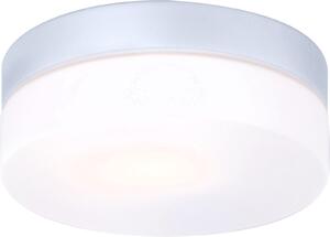Globo Lighting Vranos plafoniera de exterior 1x60 W argint-sticlă opal 32111