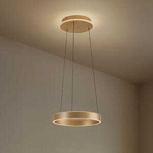 Lucande Lampă suspendată LED Tindra, Ø 40 cm, auriu, dimabil, reglabil, Auriu / Alamă, Camera de zi / sufragerie, Metal, Modern