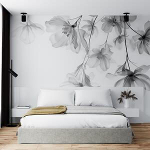 Tapet Flori negre cu petale translucide atârnând de o ramură, alb-negru, compoziție de, Fototapet Flori, Fototapet Flori Mari, w08911 : Uwalls.ro