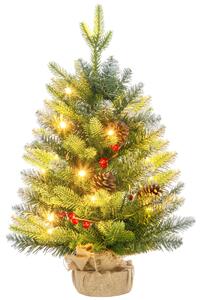 HOMCOM Mini Brad de Crăciun 60 cm cu lumini LED, 141 ramuri, conuri de pin, bobițe roșii, bază din ciment, verde | Aosom Romania