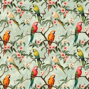 Tapet Papagali multicolori pe ramuri, Tapet natura, a00088 : Uwalls.ro