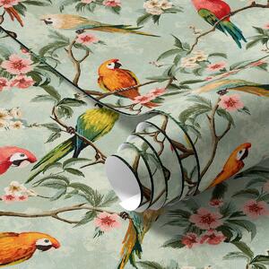 Tapet Papagali multicolori pe ramuri, Tapet natura, a00088 : Uwalls.ro