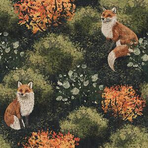 Tapet Chanterelles în pădure cu tufișuri de toamnă pe un fundal întunecat, Tapet pentru copii, Tapet pentru fete, a00101 : Uwalls.ro
