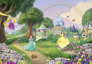 Fototapet 8-449 Disney Princess Rainbow