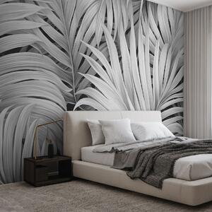 Tapet Frunze de palmier tropical cu textură monocromă, creând un imprimeu tropical, Fototapet Natură, Fototapet Foi de palmier, w09145 : Uwalls.ro