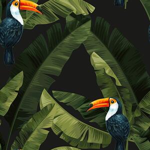 Tapet Toucan în frunze tropicale, Tapet animale, Tapet păsări, a00415 : Uwalls.ro