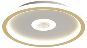 Abigali Modern plafon 1x28 W alb-auriu MD1805-RH-G