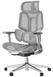 HBADA E3 AIR Scaun ergonomic, cu suport lombar dinamic pe 3 zone, tetieră reglabilă 3D, cotiere reglabile 6D, pivotant, Gri