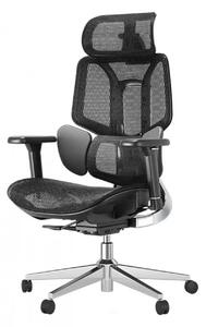 HBADA E3 AIR Scaun ergonomic, cu suport lombar dinamic pe 3 zone, tetieră reglabilă 3D, cotiere reglabile 3D, pivotant, Negru