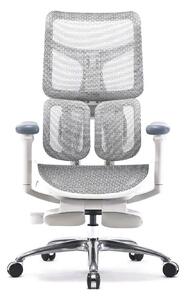 Scaun ergonomic SIHOO S100, cotiere 4D ultra moi, suport lombar adaptiv, spătar reglabil pe inaltime, sezut cu translatie, mecanism multifunctional inclinare/blocare, suport picioare, pivotant, Mesh, Gri