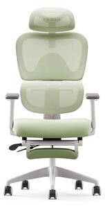 Scaun ergonomic MUSSO E600SE ADAPTIVE, șezut translatabil, cotiere 3D, suport lombar adaptiv, suport picioare, mecanism multifunctional inclinare/blocare, pivotant, Mesh, Verde