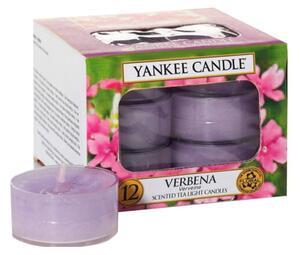 Set 12 lumânări parfumate Yankee Candle Verbena, timp de ardere 4 h