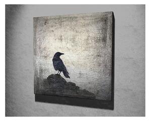 Tablou pe pânză Black Bird, 45 x 45 cm