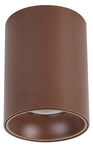Brilagi - Corp de iluminat tip spot TRINE 1xGU10/30W/230V maro