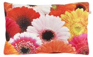 Fata de perna decorativa SAMARA GERBERA 30x50 cm, colorata
