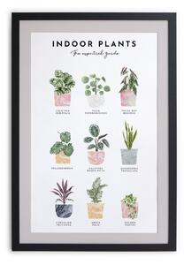 Tablou de perete cu ramă Really Nice Things Indoor Plants, 30 x 40 cm